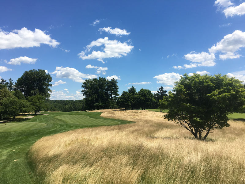 Water: Simple steps make a splash at TPC Jasna Polana TPC Jasna Polana