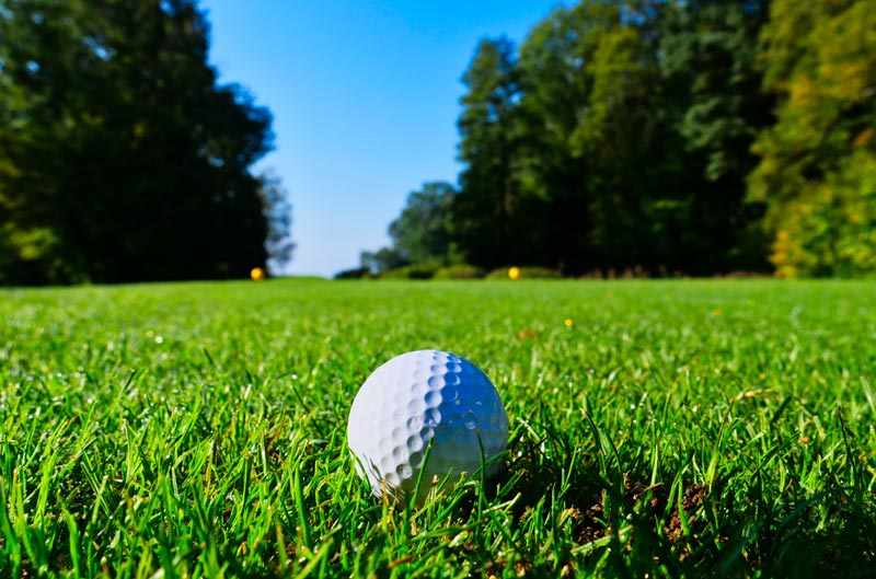 Career: Leverage your love of golf to get a job Love of golf