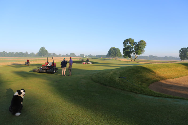 Golf tournament volunteering do’s and don’ts Volunteer pro golf event