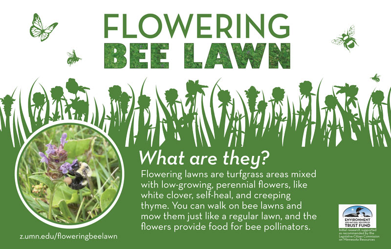 Growing golf courses that feed bees Bee lawn