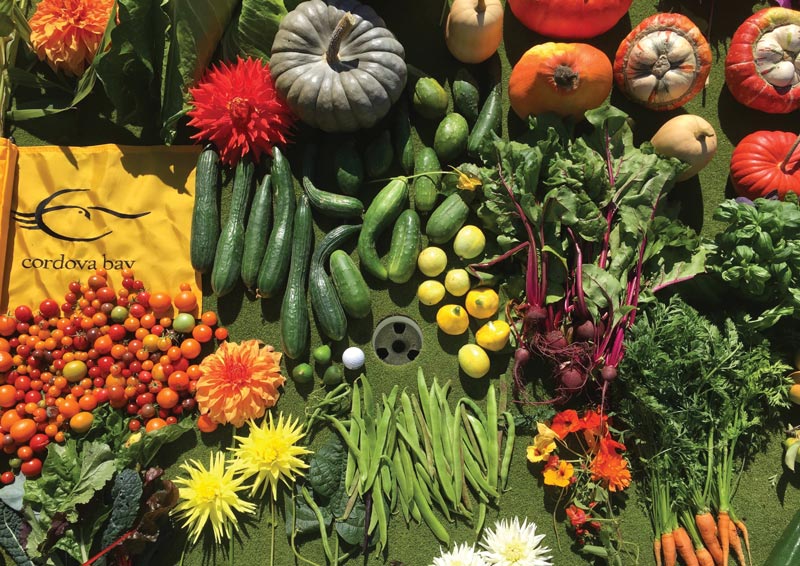 Fairway to table: Growing fresh food at Cordova Bay Golf Course Golf course garden