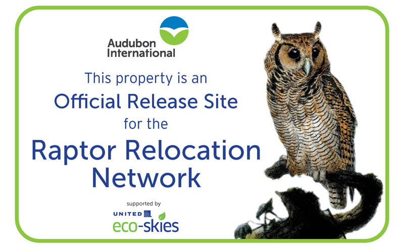 Relocated raptors call golf courses home Raptor Relocation Network