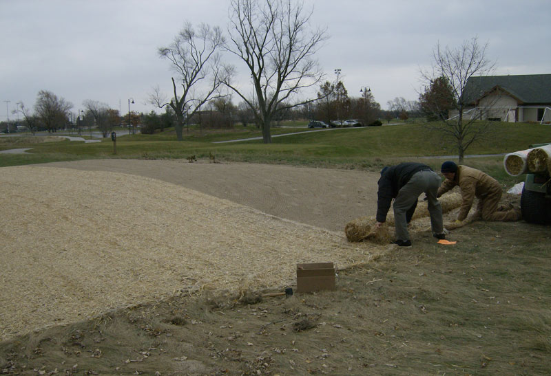 A new use for old bunker sand Golf course native plants