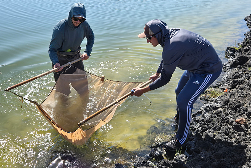 Two men standing in a river with a large net