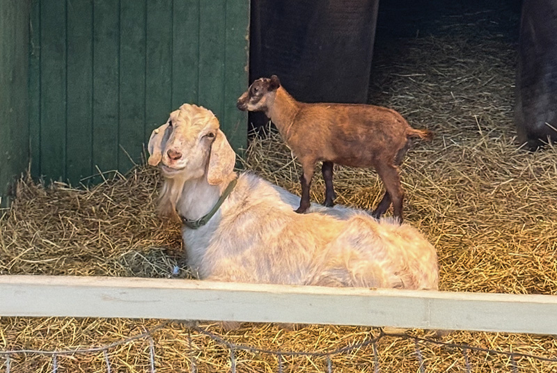 Aerial view of Ghost Creek golf course
