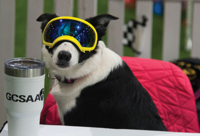 Four days in Orlando at the 2020 Golf Industry Show Golf Industry Show dog