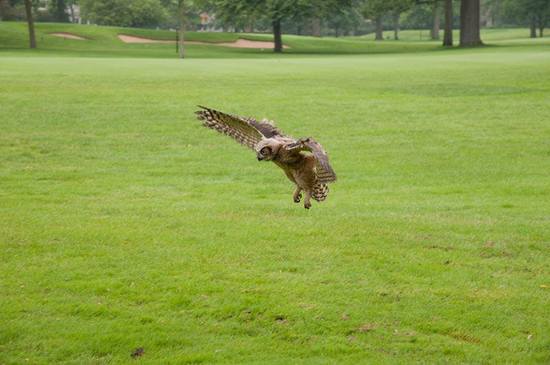 Reintroducing the GCSAA Foundation Golf environmental stewardship