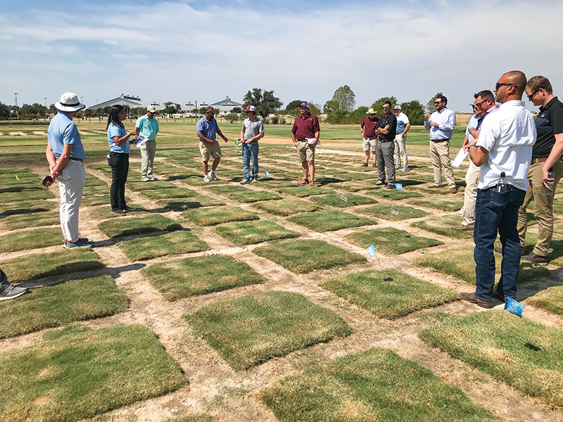 Aerial view of Ghost Creek golf course