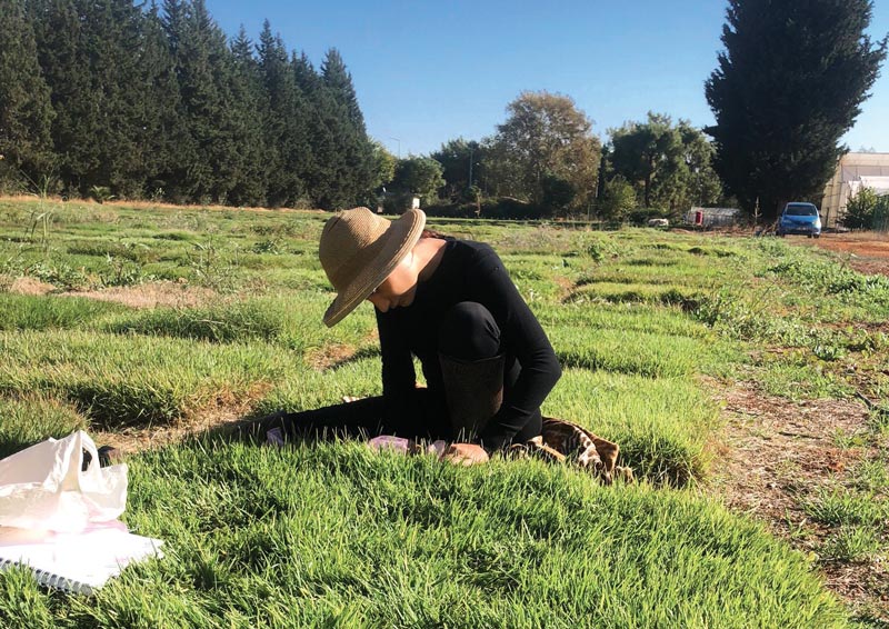Women’s work: New survey of women in turf Women in turfgrass