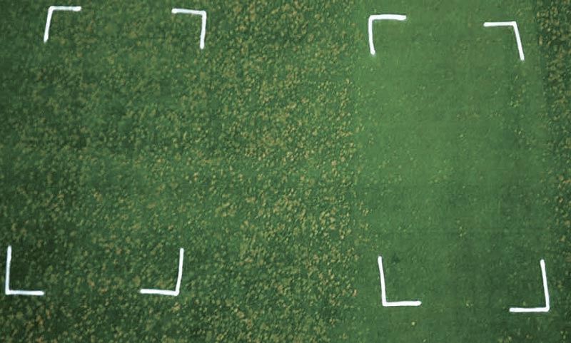 Top 10 reasons to lightweight-roll golf course greens Dollar spot