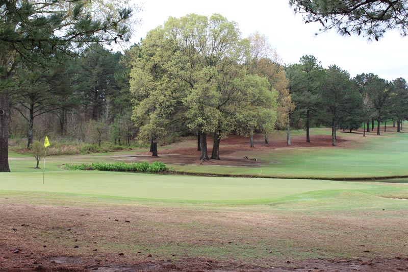Proactive steps to prevent winterkill on turfgrass Golf course winterkill