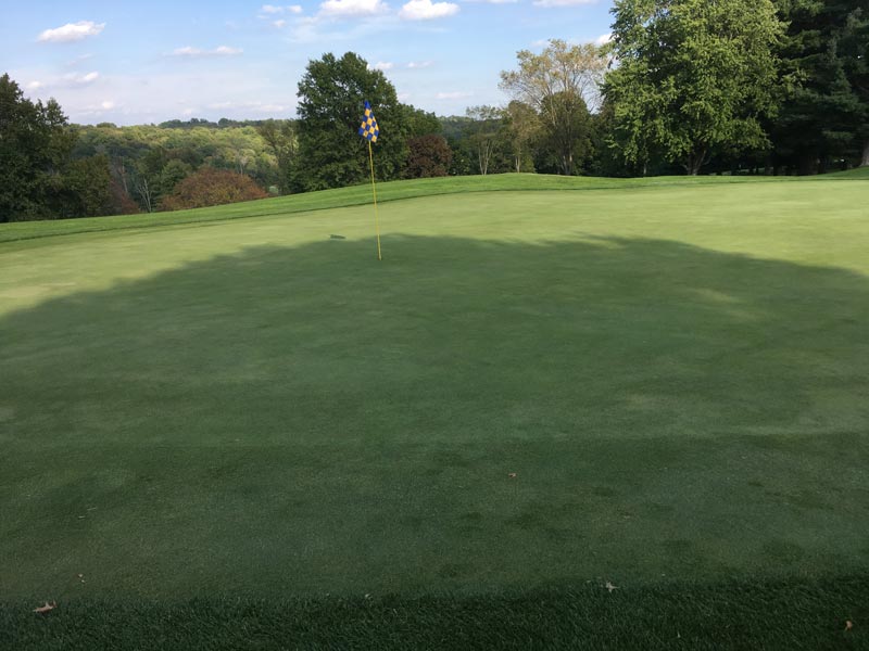 Reasons for golf course tree removal Putting green shade