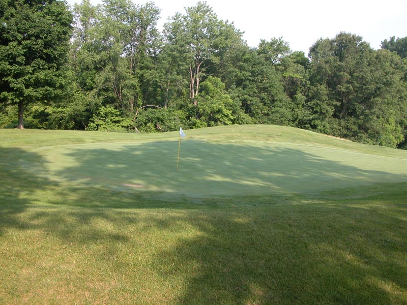 Reasons for golf course tree removal Shaded golf green