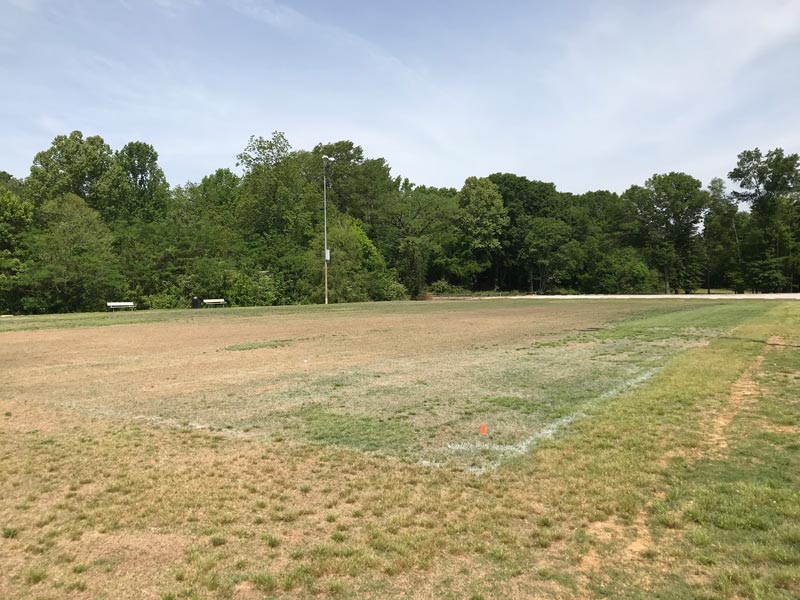 Proactive steps to prevent winterkill on turfgrass Turfgrass winterkill