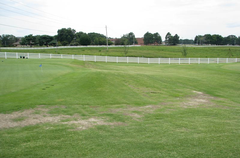 Proactive steps to prevent winterkill on turfgrass Winterkill recovery