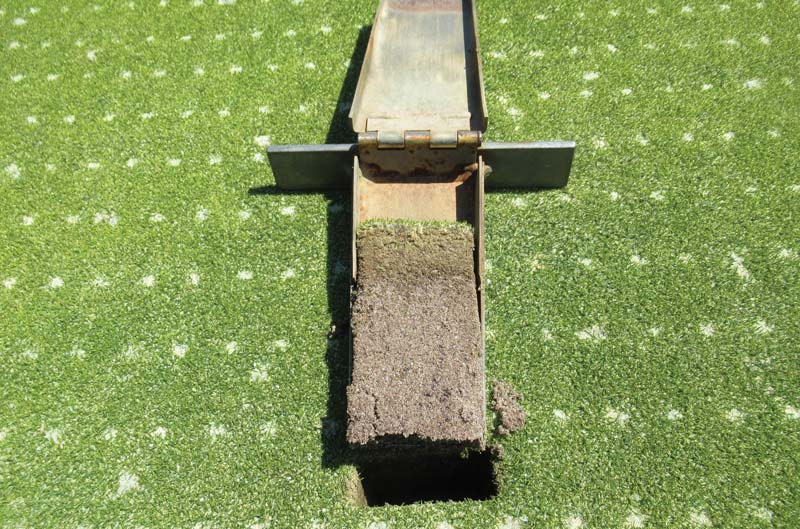 Timing golf course aerification Turfgrass aerification