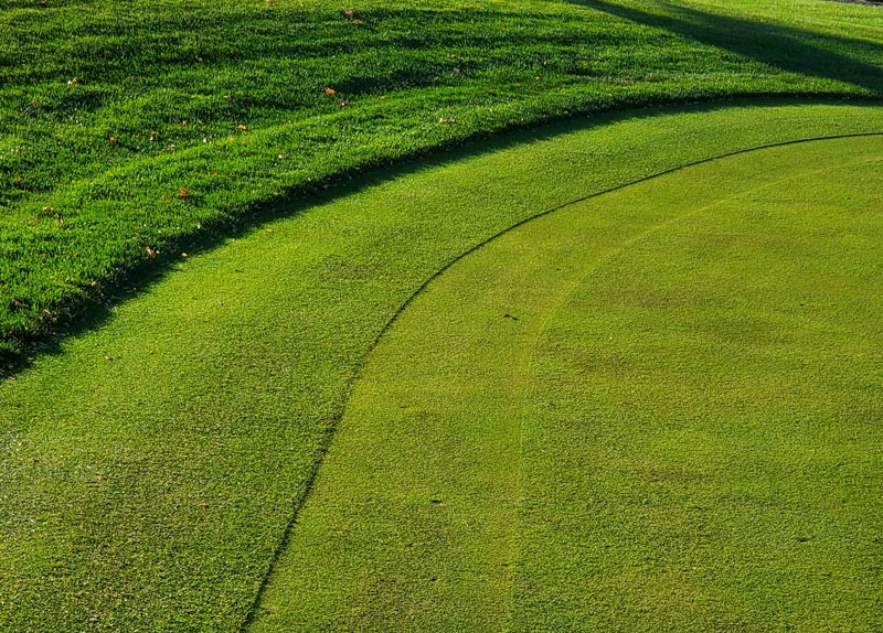 Turf hack: The perfect collar Golf course collar mowing
