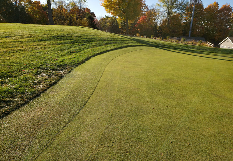 Turf hack: The perfect collar Golf course collar
