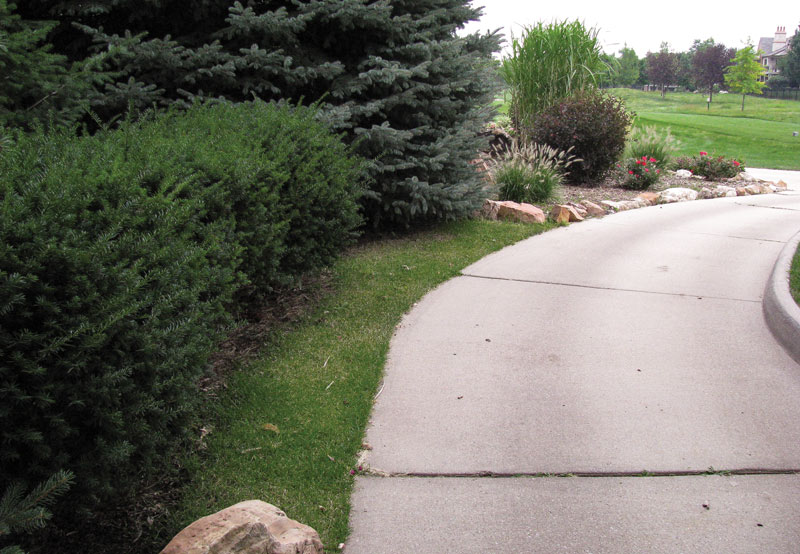 Tips to improve hedges on the golf course Golf course hedges