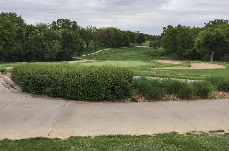 Tips to improve hedges on the golf course Hedges golf course