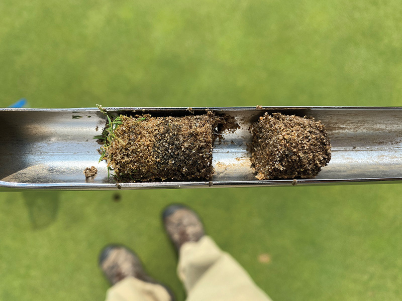 turf core sample