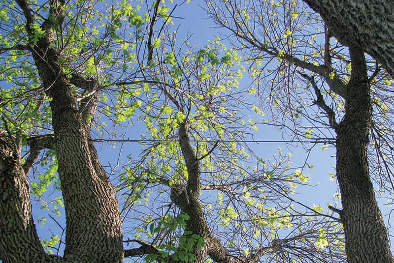 Aerial view of Ghost Creek golf course