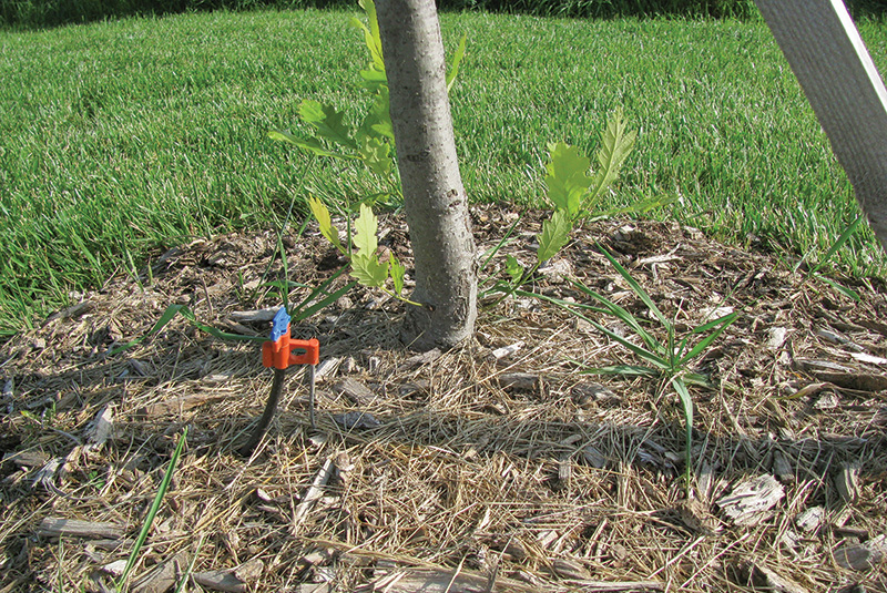 Aerial view of Ghost Creek golf course