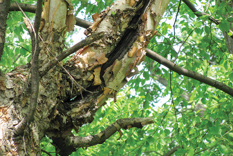 Aerial view of Ghost Creek golf course