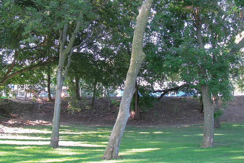 Aerial view of Ghost Creek golf course