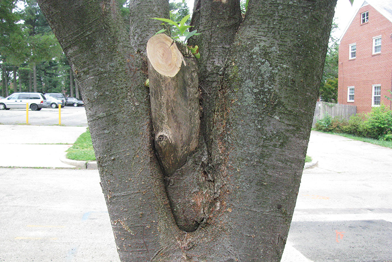 Aerial view of Ghost Creek golf course