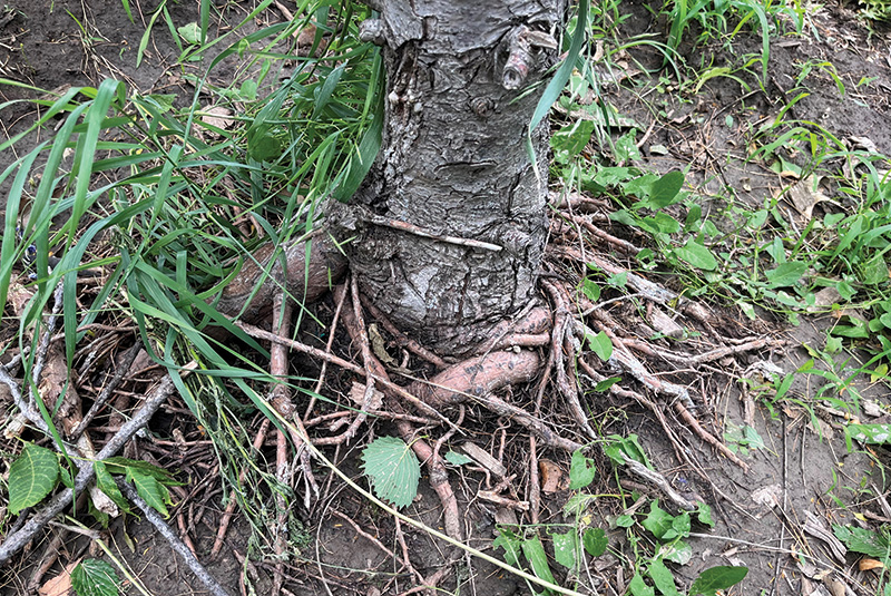 Aerial view of Ghost Creek golf course