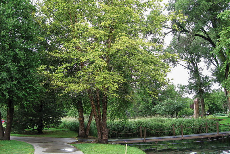 Aerial view of Ghost Creek golf course