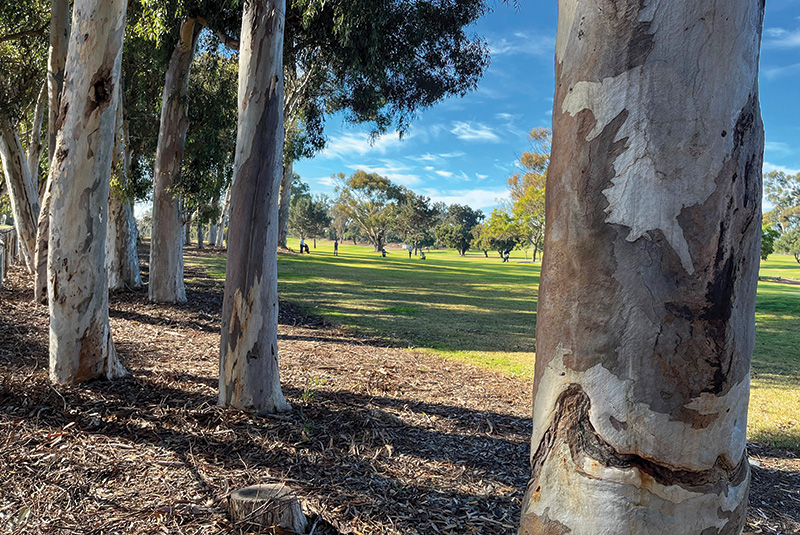 Aerial view of Ghost Creek golf course
