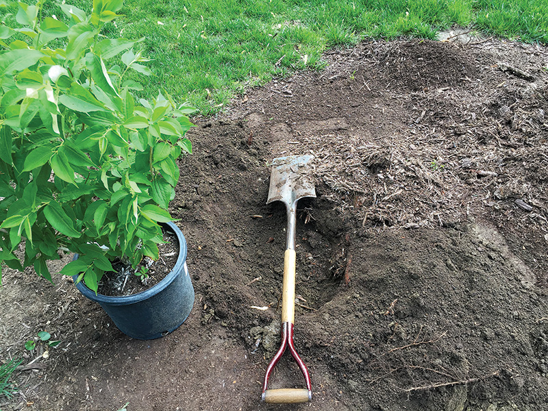 Aerial view of Ghost Creek golf course