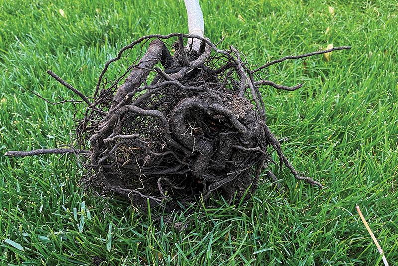 Aerial view of Ghost Creek golf course