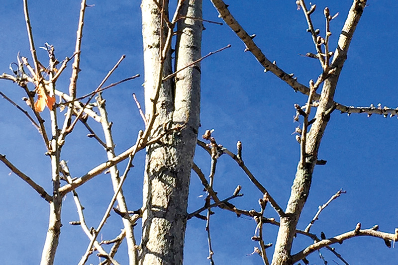 Aerial view of Ghost Creek golf course