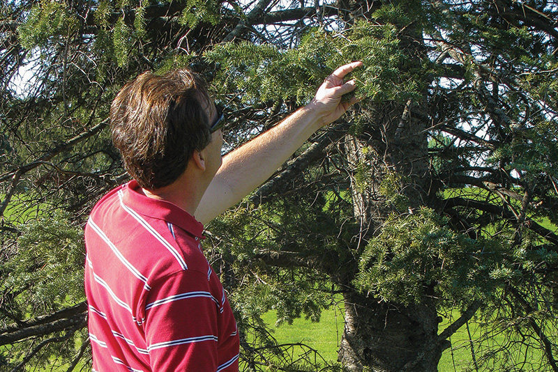 Aerial view of Ghost Creek golf course