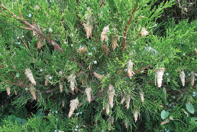 Aerial view of Ghost Creek golf course