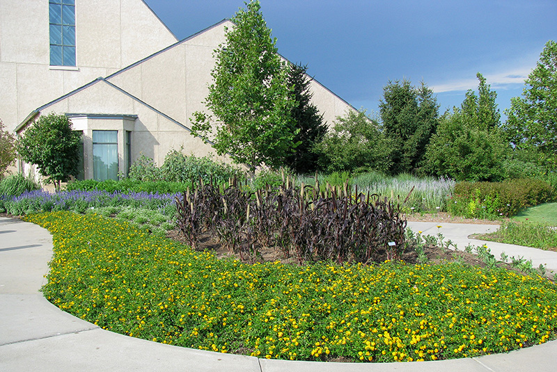 Aerial view of Ghost Creek golf course