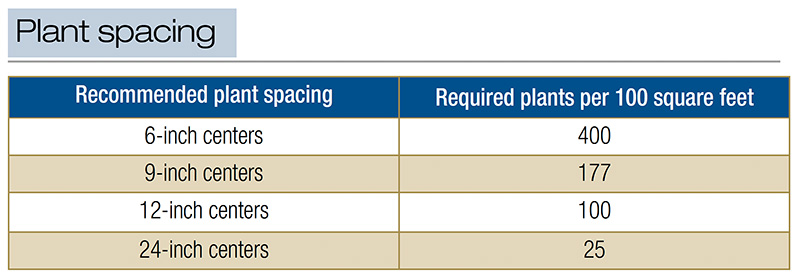 Aerial view of Ghost Creek golf course