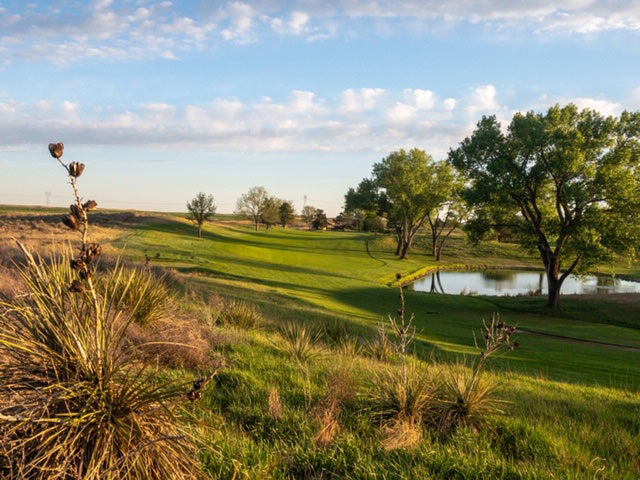 Coronavirus and golf: A bundle of joy in the midst of a pandemic Buffalo Dunes Golf Course