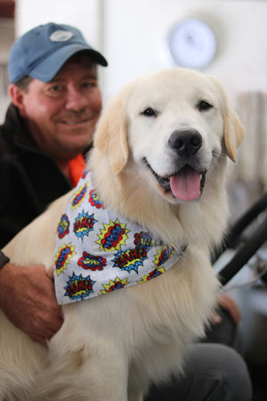 Golden retriever George named 2020 Dog of the Year Trey Rutledge