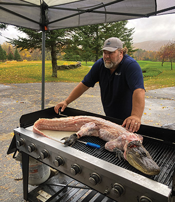 CCIV fertilizer granules