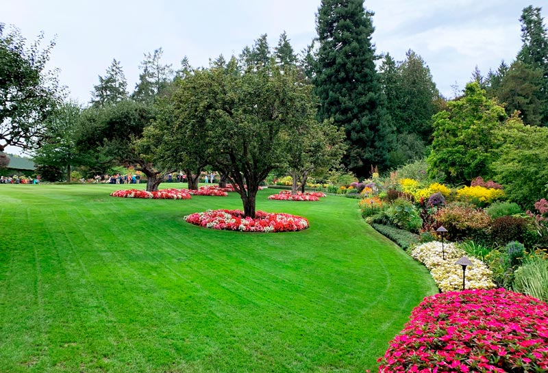 Managing stress in turfgrass Managing turfgrass stress
