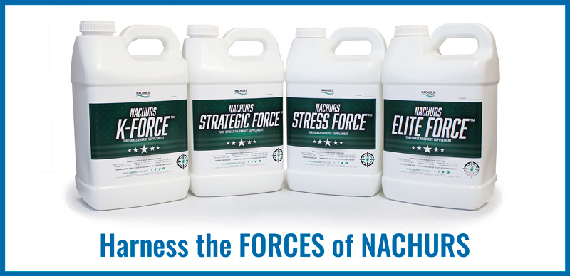 Managing stress in turfgrass NACHURS Turf and Ornamental