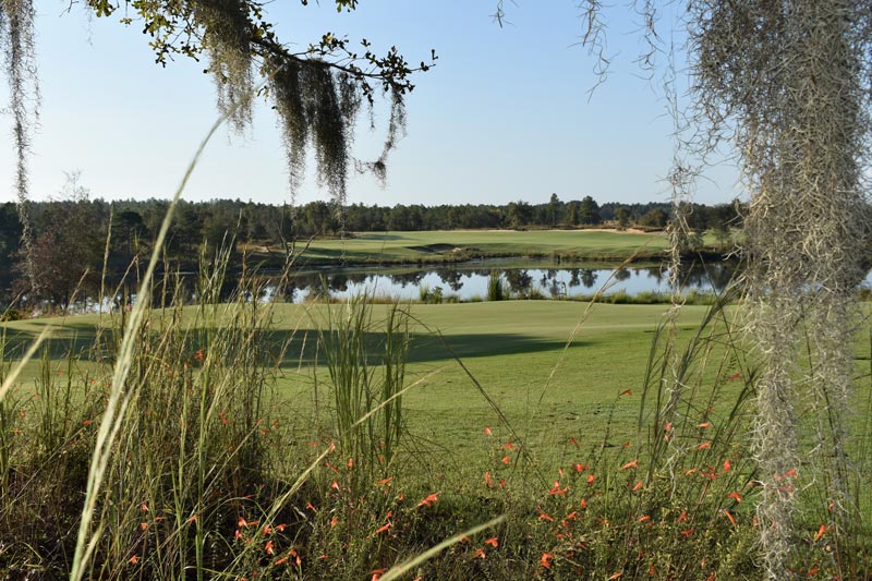 Ohoopee Match Club: Out of the dunes Ohoopee Match Club