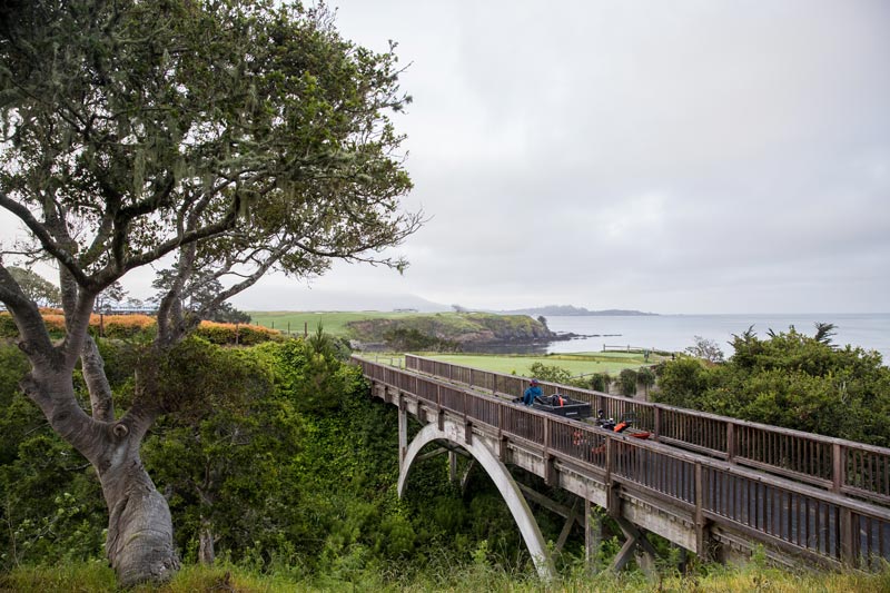 Gallery: A major on the horizon at Pebble Beach Pebble Beach bridge