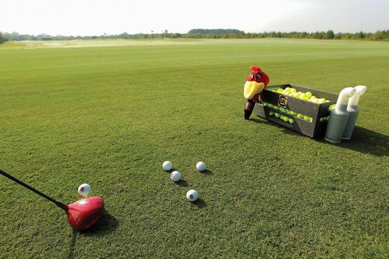Inside the new crop of college golf practice facilities South Carolina golf