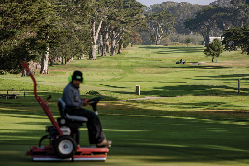 Bay beauty: The PGA Championship at TPC Harding Park TPC Harding Park greens