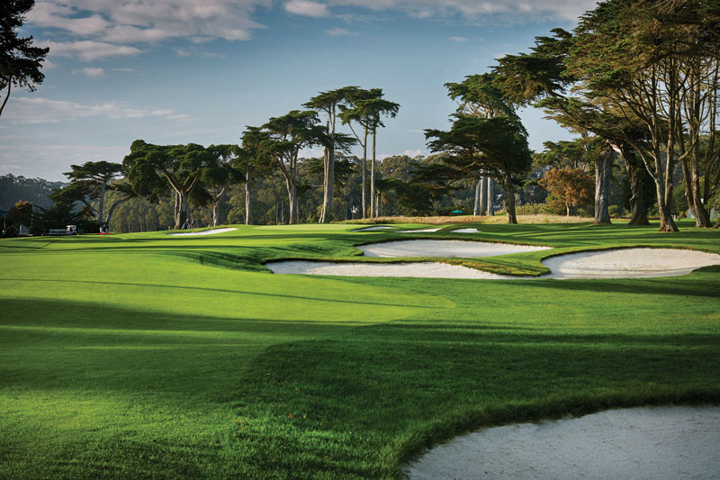 Are you dense? Yes, rough at TPC Harding Park, you are TPC Harding Park rough